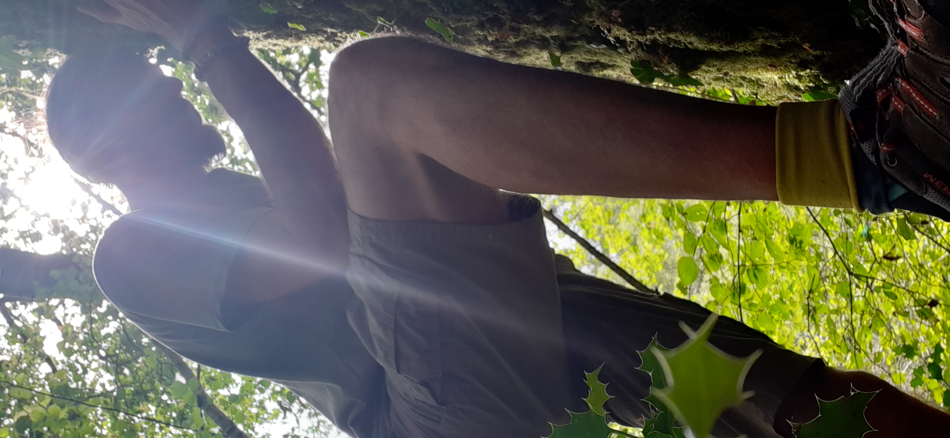 La Sylvothérapie, une reconnexion à ma vraie nature